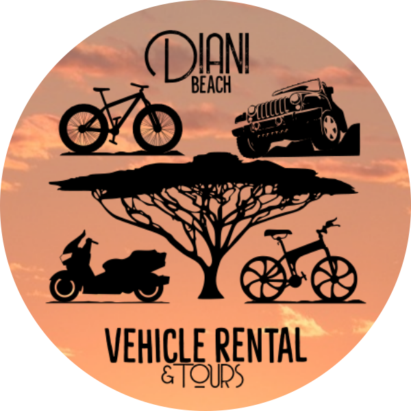 Diani Beach Vehicle Rentals and Tours Logo