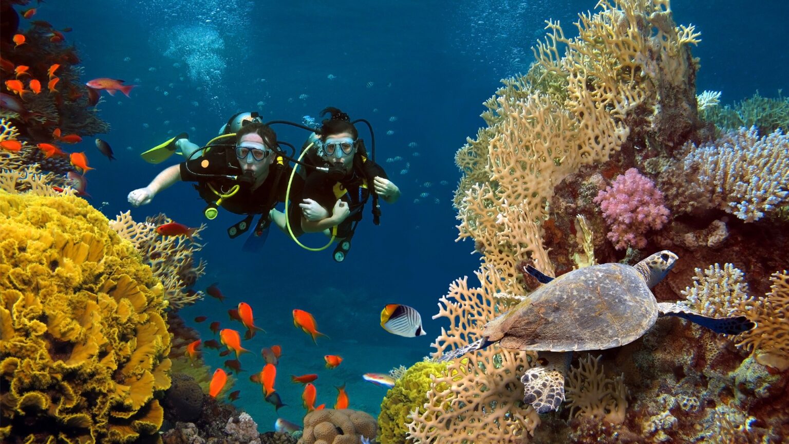 Scuba Diving - Diani Beach Vehicle Rentals & Tours